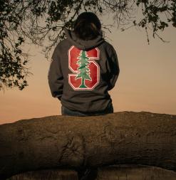 Student wearing Stanford sweater sitting at Lake Lagunita on Stanford campus. 