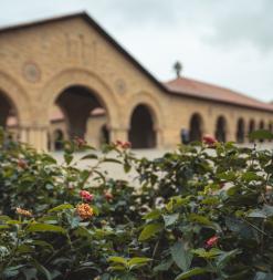 Orange flowers in the Main Quad
